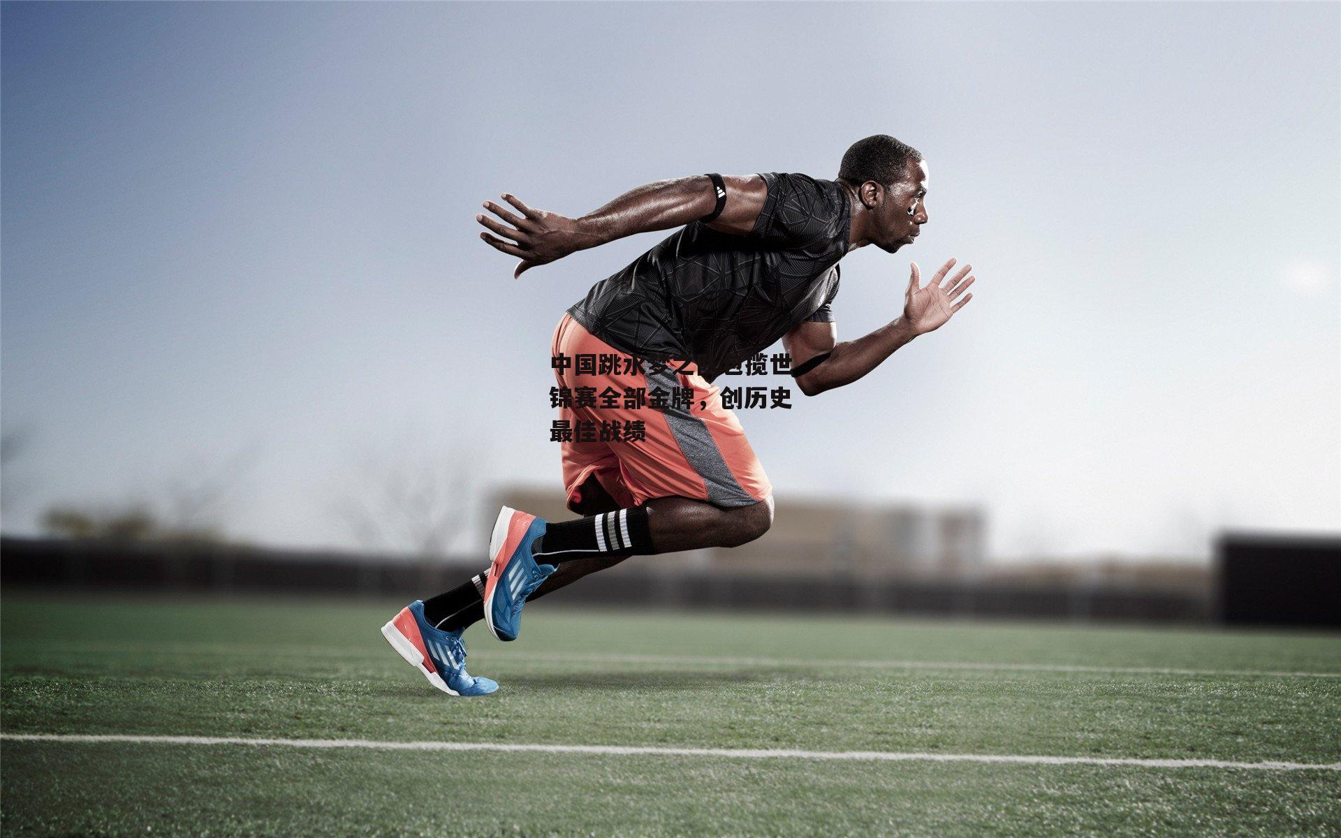 中国跳水梦之队包揽世锦赛全部金牌，创历史最佳战绩