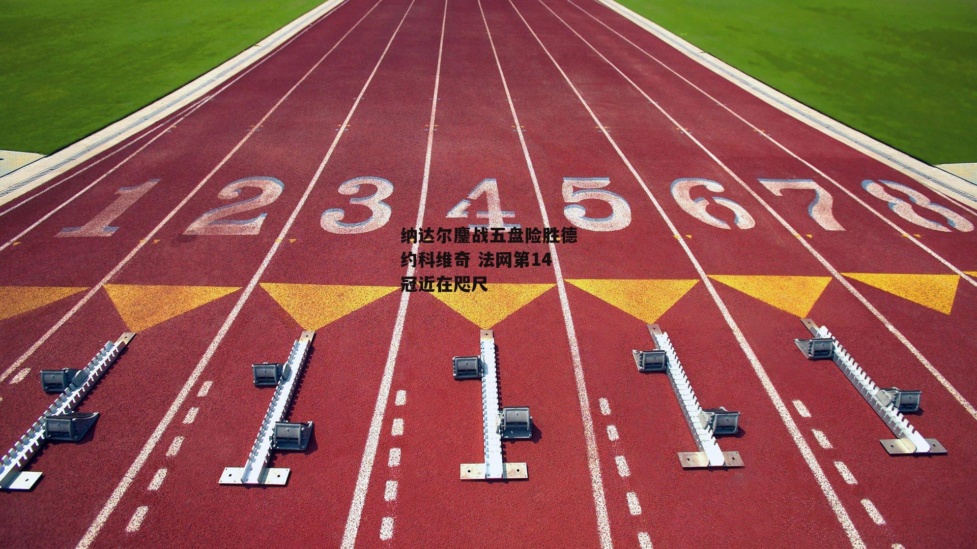 纳达尔鏖战五盘险胜德约科维奇 法网第14冠近在咫尺