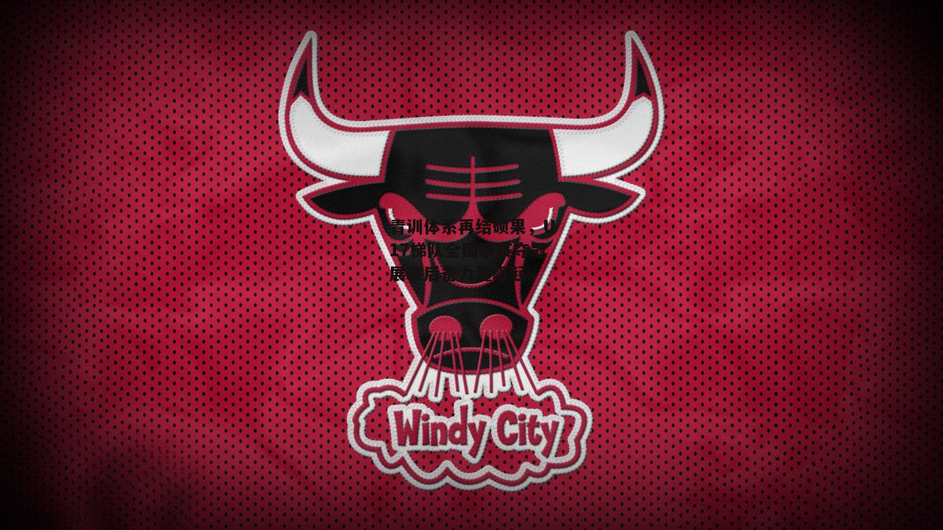 青训体系再结硕果,U17梯队全国联赛夺冠展现后备力量崛起